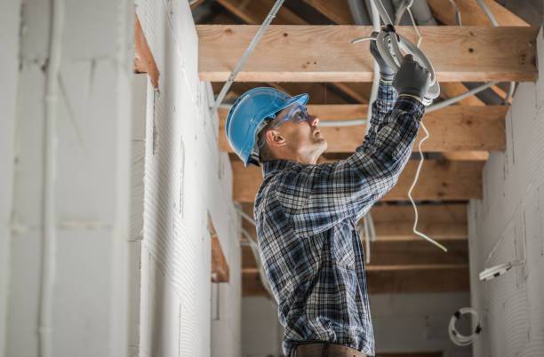 Best Generator Installation Services  in Oconto Falls, WI